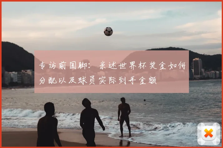 专访前国脚:亲述世界杯奖金如何分配以及球员实际到手金额