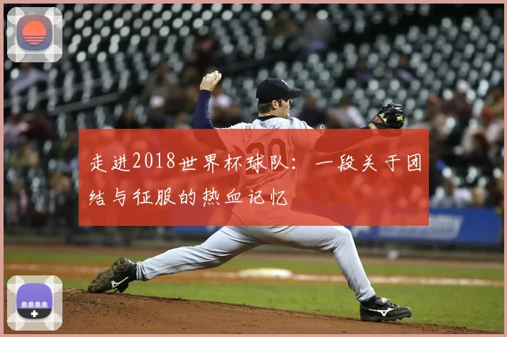 走进2018世界杯球队:一段关于团结与征服的热血记忆