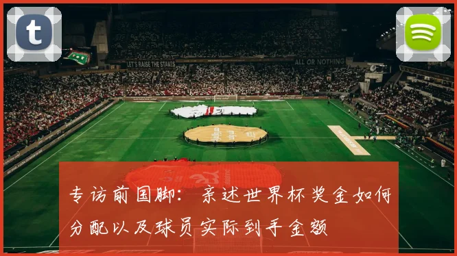 专访前国脚：亲述世界杯奖金如何分配以及球员实际到手金额