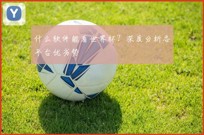 什么软件能看世界杯?深度分析各平台优劣势