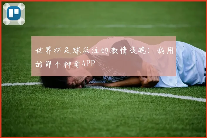 世界杯足球买注的激情夜晚：我用的那个神奇APP