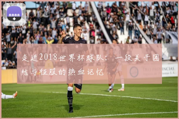 走进2018世界杯球队：一段关于团结与征服的热血记忆
