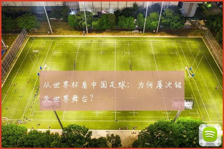从世界杯看中国足球:为何屡次错失世界舞台?
