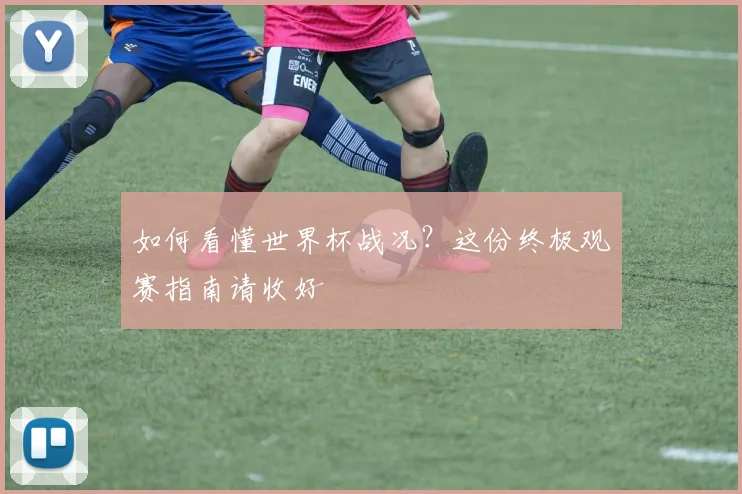 如何看懂世界杯战况？这份终极观赛指南请收好
