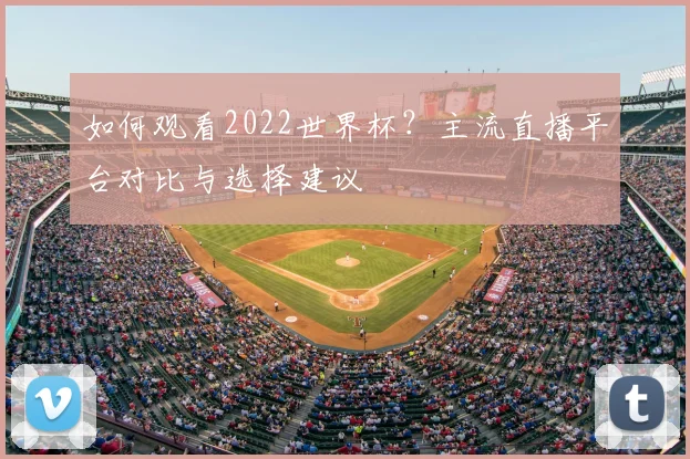 如何观看2022世界杯？主流直播平台对比与选择建议