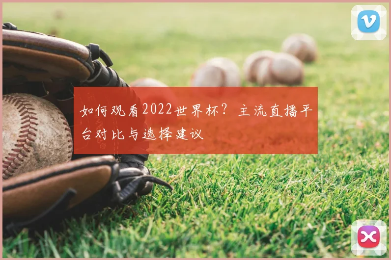 如何观看2022世界杯？主流直播平台对比与选择建议