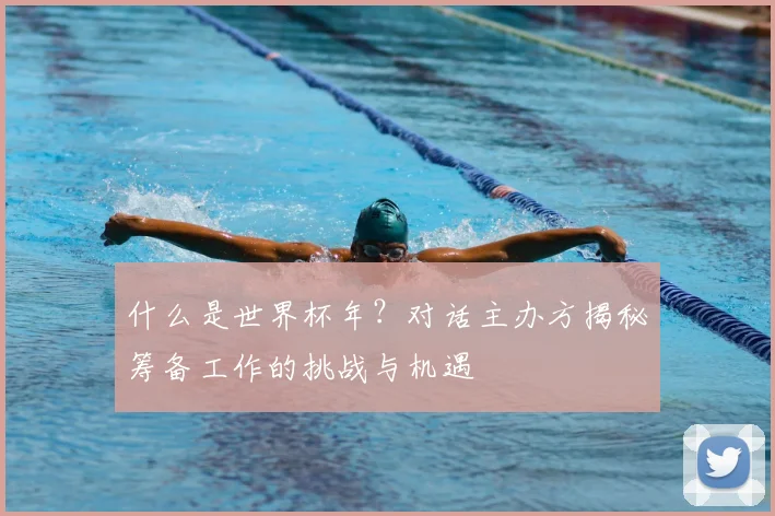 什么是世界杯年？对话主办方揭秘筹备工作的挑战与机遇