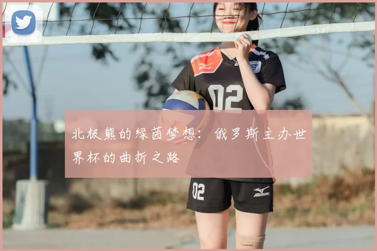 北极熊的绿茵梦想：俄罗斯主办世界杯的曲折之路