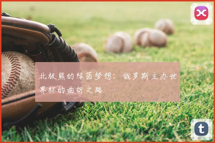 北极熊的绿茵梦想：俄罗斯主办世界杯的曲折之路