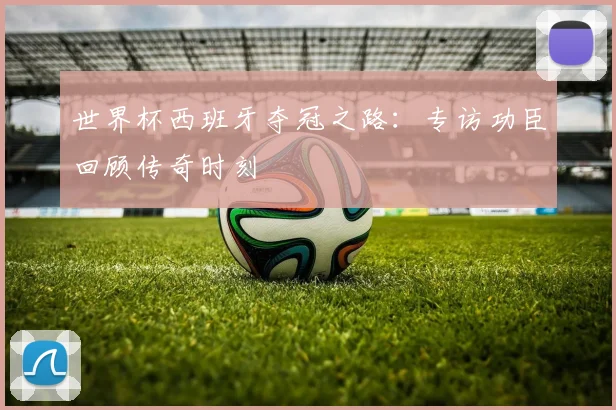 世界杯西班牙夺冠之路：专访功臣回顾传奇时刻