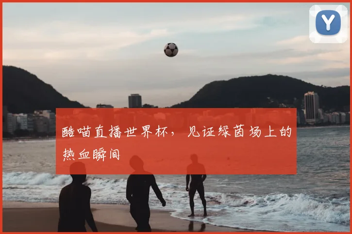 酷喵直播世界杯，见证绿茵场上的热血瞬间