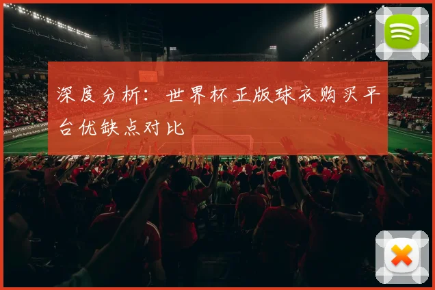 深度分析：世界杯正版球衣购买平台优缺点对比