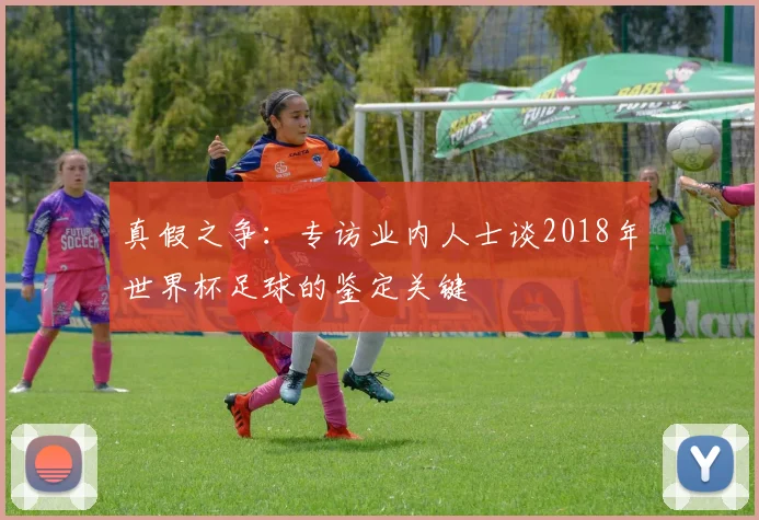 真假之争：专访业内人士谈2018年世界杯足球的鉴定关键
