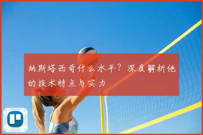 纳斯塔西奇什么水平？深度解析他的技术特点与实力