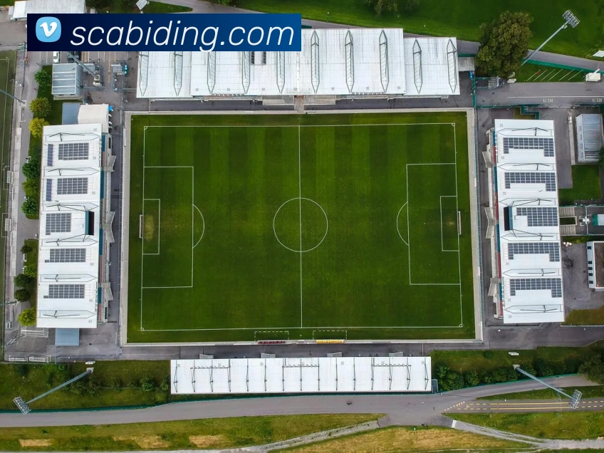 博亚娱乐app官方网站发展历程